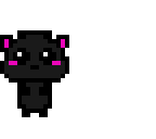weird bear