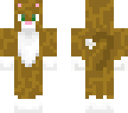 cat 2