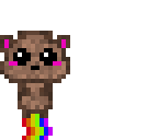 rainbow bear