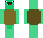 turtle ross
