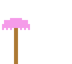 umbrella