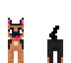 cute dog