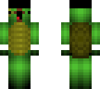fancy turtle