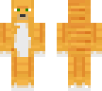 orange cat