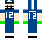 seahawks fan