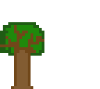 arbolnood12