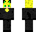 chat noir