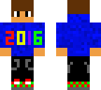 2016 skin