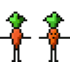 carrot