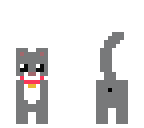 collared kitty