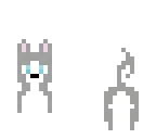 gray husky