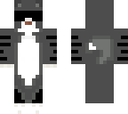 swag cat