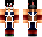 bardock - time breaker