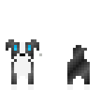border collie without sparkles