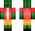 cactus with clothes