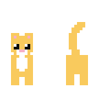 fixed cat