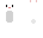 cute bunny