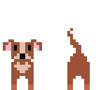 doggy