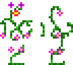 flower magic