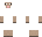 sheep