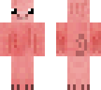cute pig