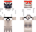 karate pug