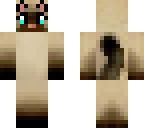 edited siamese cat