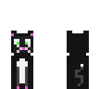 cute little cat