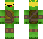 turtle dude