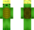 turtle shuwaz