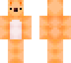 orange koala