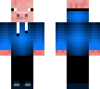 pig in sweater