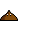 poop