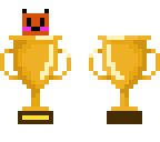 skin competition