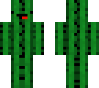 derpy cactus