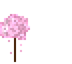 sakura tree