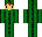 cactus boy