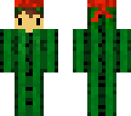 ninja cactus boy