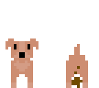 perro cacudo