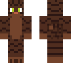 warrior cat skin