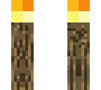 3d torch