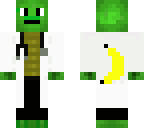 doctor turtle headphone