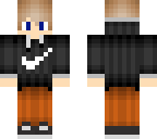 skin 6
