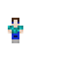 mini steve