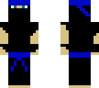 ninjavisser