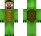 steve as a turtle