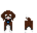 german shorthaired pointer