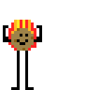 the cookie