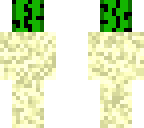 cactus in the sand