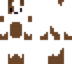 cute puppy